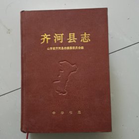 齐河县志