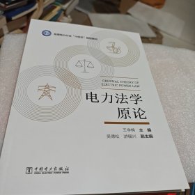 电力化学原论