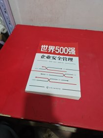 世界500强企业安全管理