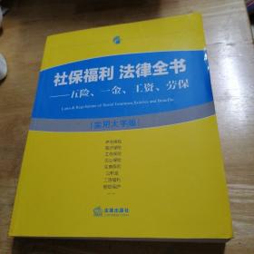 社保福利 法律全书：五险、一金、工资、劳保（实用大字版）