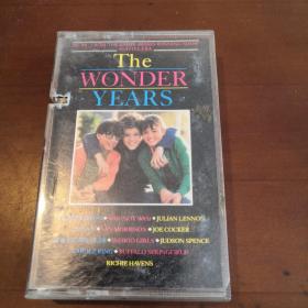 打口磁带  The Wonder Years