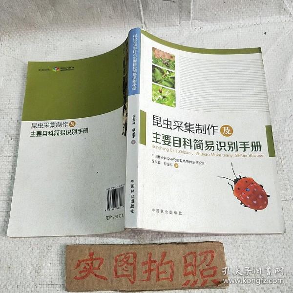 昆虫采集制作及主要目科简易识别手册