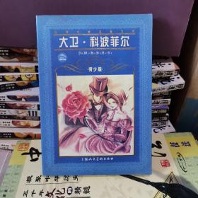 世界文学名著宝库：大卫·科波菲尔（青少版）