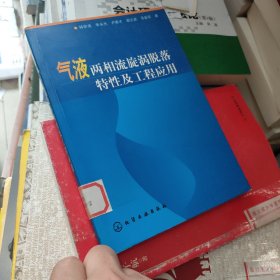 氣液兩相流旋渦脫落特性及工程應(yīng)用