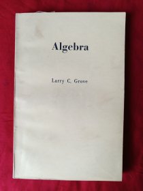 Algebra 【代数学，英文原版】