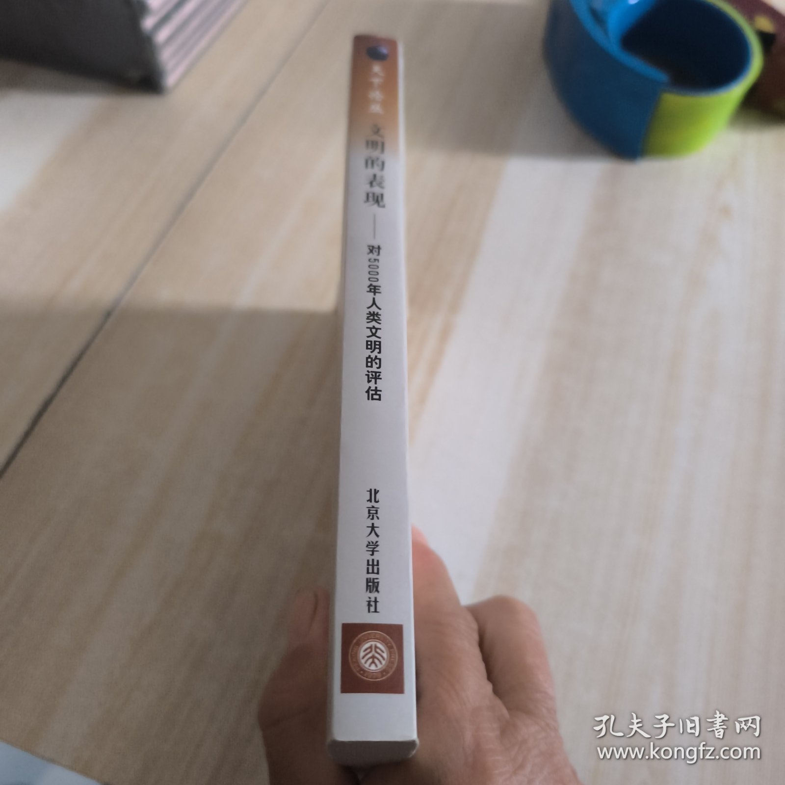 文明的表现：对5000年人类文明的评估