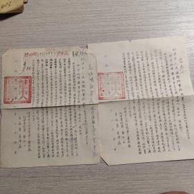 1951年 解放初期 蚌埠市人民法院刑事判决书2份。