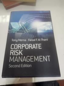 Corporate Risk Management 2nd Edition[公司风险管理(第2版)]