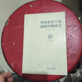 中国农村土地流转问题研究