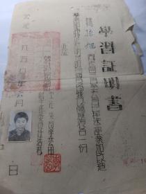 学习证明书，孙旭，1950年。仅1件，品相如图。