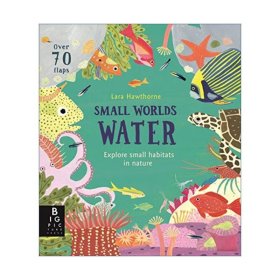 Small Worlds Water 小小世界 水 儿童科普绘本