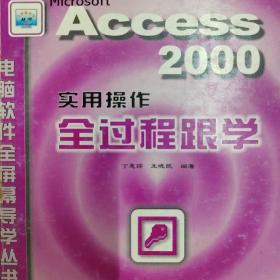 Access 2000 实用操作全过程跟学