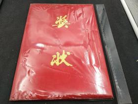 2001年清华大学“土水学院水利系学生工作组”奖状，在2000年工作中成绩显著，伍2000——2001学年度第12次校务会议通过授予“先进集体”称号。