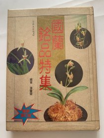国兰名品特集