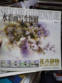 水彩画写生图解 花卉静物