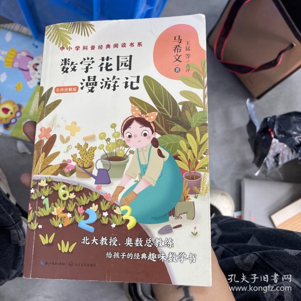 数学花园漫游记——马希文（中小学科普经典阅读书系）