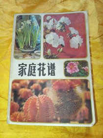 家庭花谐