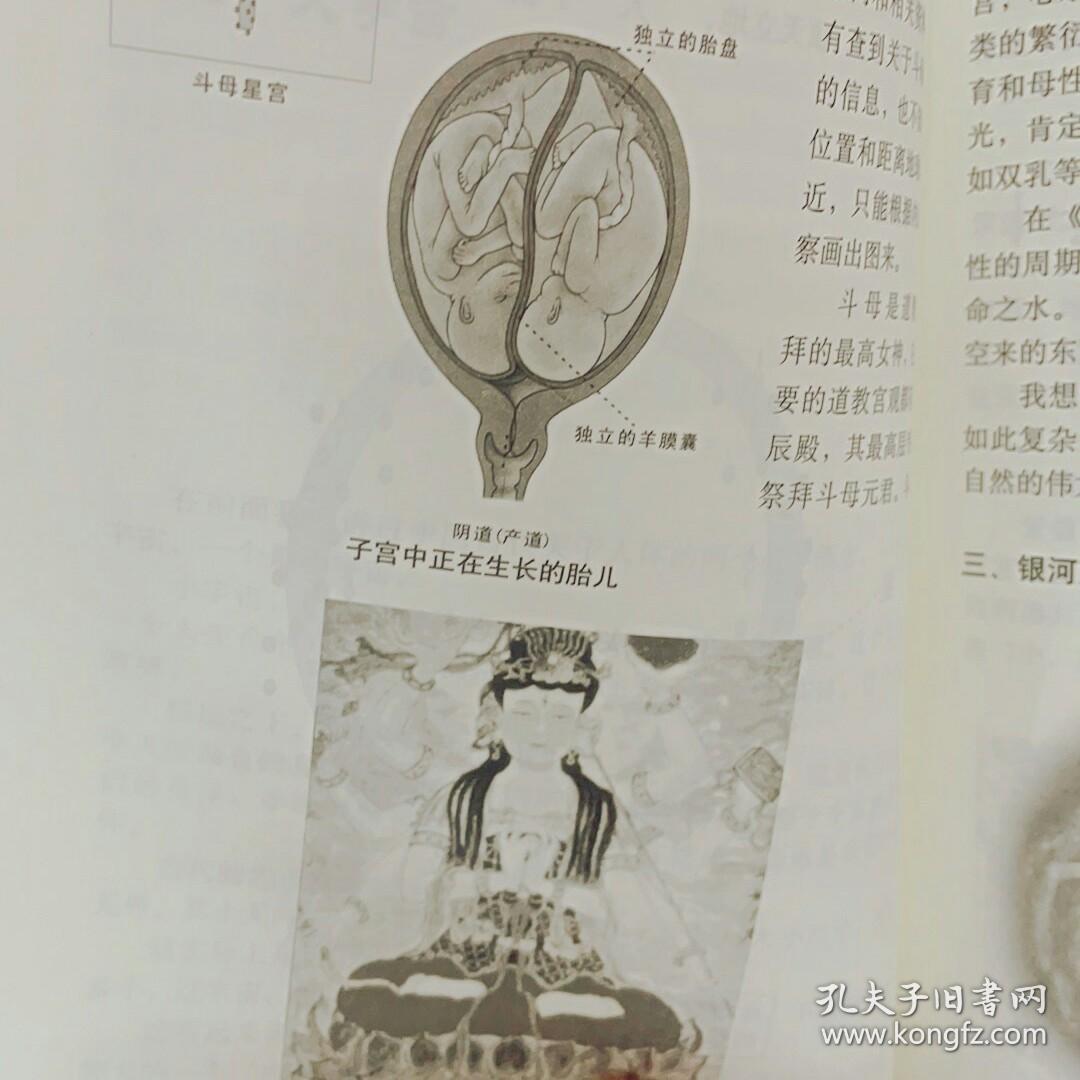 内证观察笔记：真图本中医解剖学纲目 正版彩图