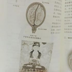 内证观察笔记：真图本中医解剖学纲目 正版彩图