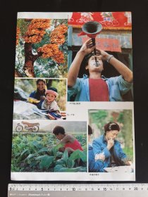 80年代岀品（早期遵义摄影获奖作品）