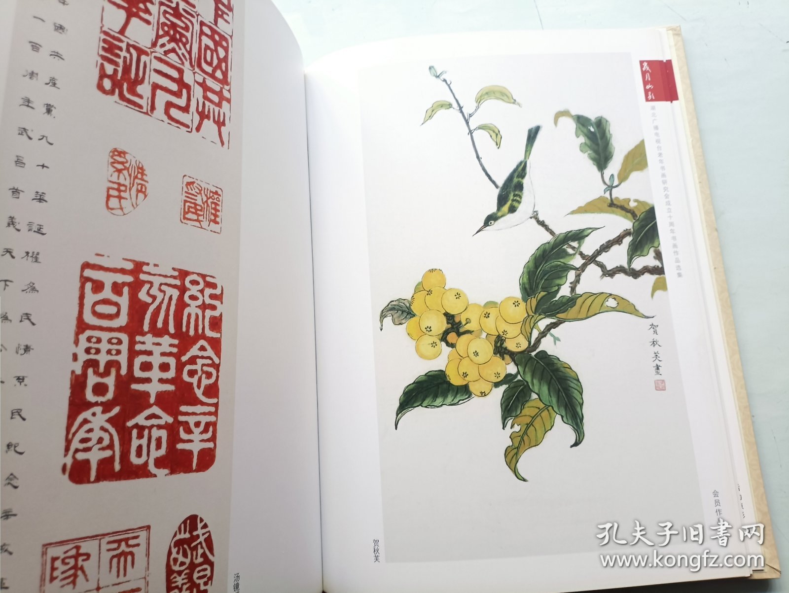 岁月如歌 湖北广播电视台老年书画研究会成立十周年书画作品选集