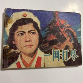 一网打尽