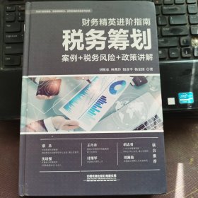 财务精英进阶指南：税务筹划（案例+税务风险+政策讲解）