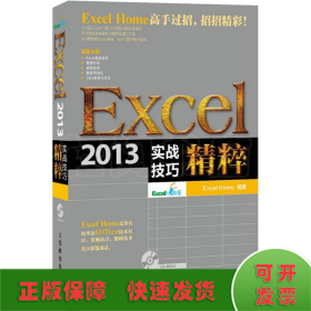 Excel 2013实战技巧精粹