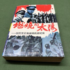 燃烧的太阳：国民党正面战场抗战纪实