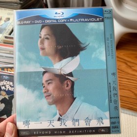 哪一天我们会飞 DVD