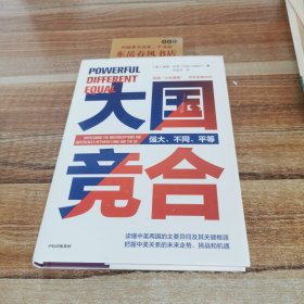 大国竞合：把握中美关系的未来走势、挑战和机遇