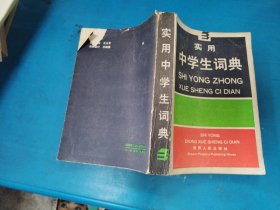 實(shí)用中學(xué)生詞典