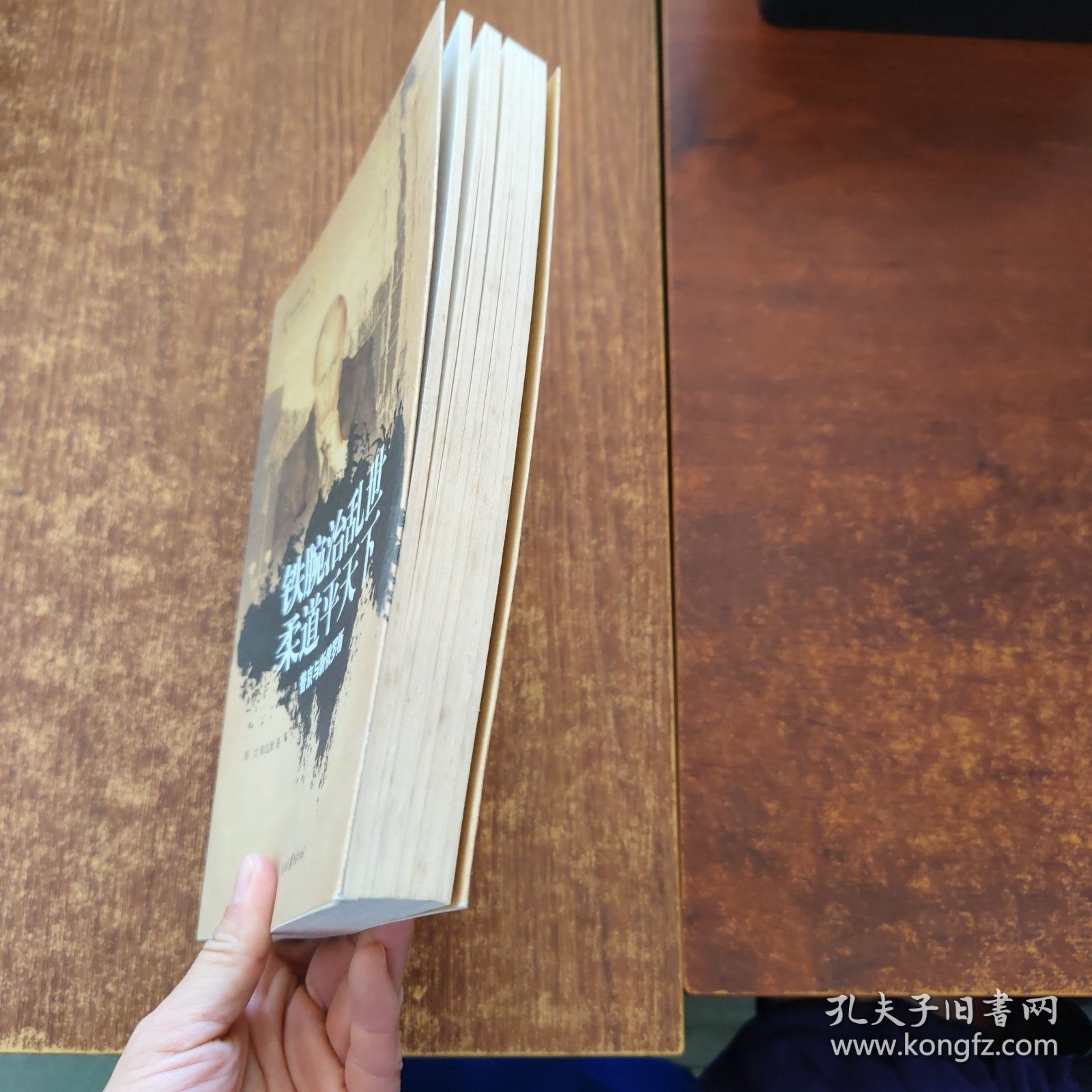 铁腕治乱世柔道平天下：普京与新俄罗斯/俄罗斯进行曲丛书