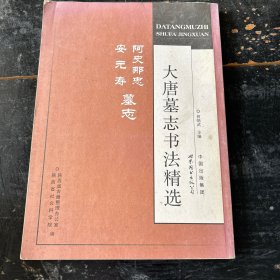 大唐墓志书法精选：阿史那忠·安元寿墓志，，