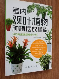 室内观叶植物种植摆放指南