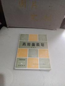 藥用菌栽培