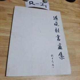 孙晓材书画集  签名册