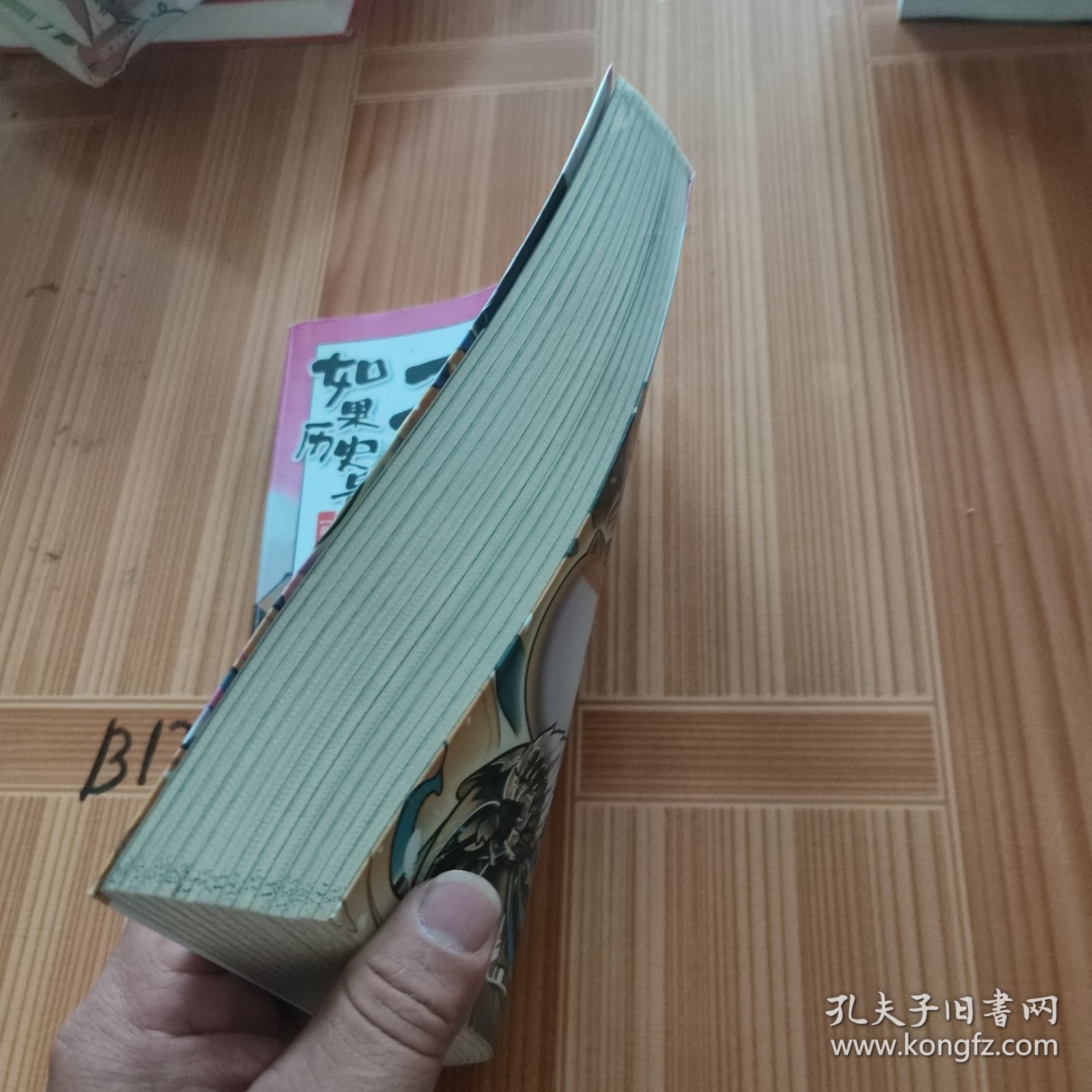 如果历史是一群喵5·乱世三国篇
