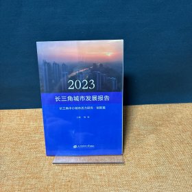 2023长三角城市发展报告 长三角中小城市活力研究·创新篇