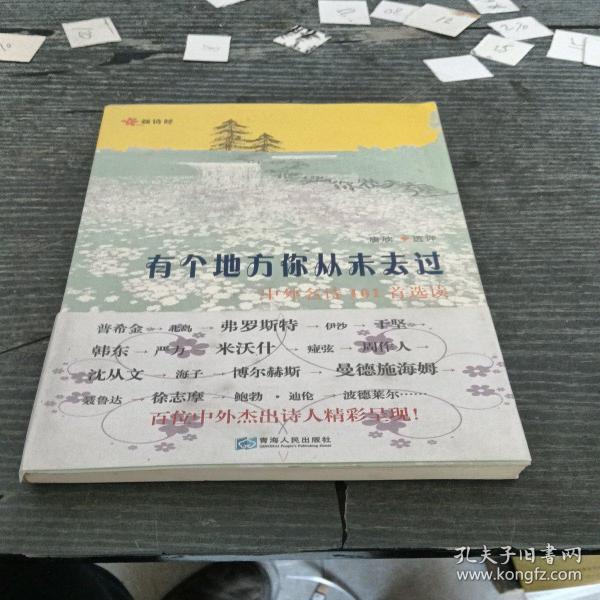 有个地方你从未去过：中外名诗101首选读