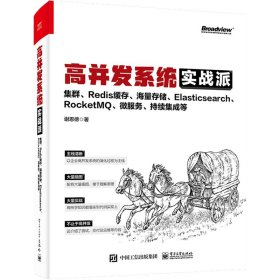 高并发系统实战派：集群、Redis缓存、海量存储、Elasticsearch、RocketMQ、微服务、持续集成等