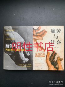 米开基罗传.痛苦与狂喜：1.向石而生+2.众神之巅（2本合售）