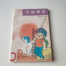大地探宝