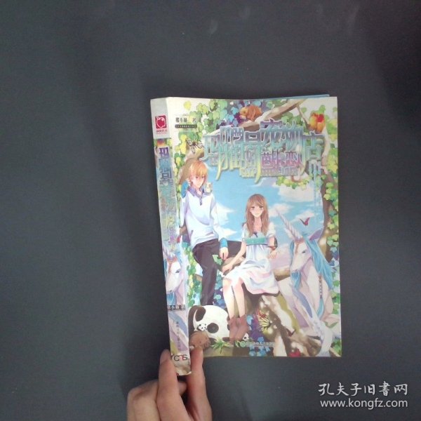 玛雅1号宠物店芭比恋人