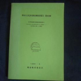 日文原版（考古遗址）堺市文化财调查概要报告 第82册