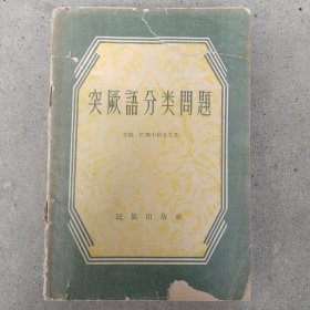 突厥语分类问题(牛汝辰藏)