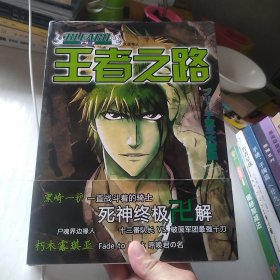 王者之路（死神·BLEACH）激斗大画集