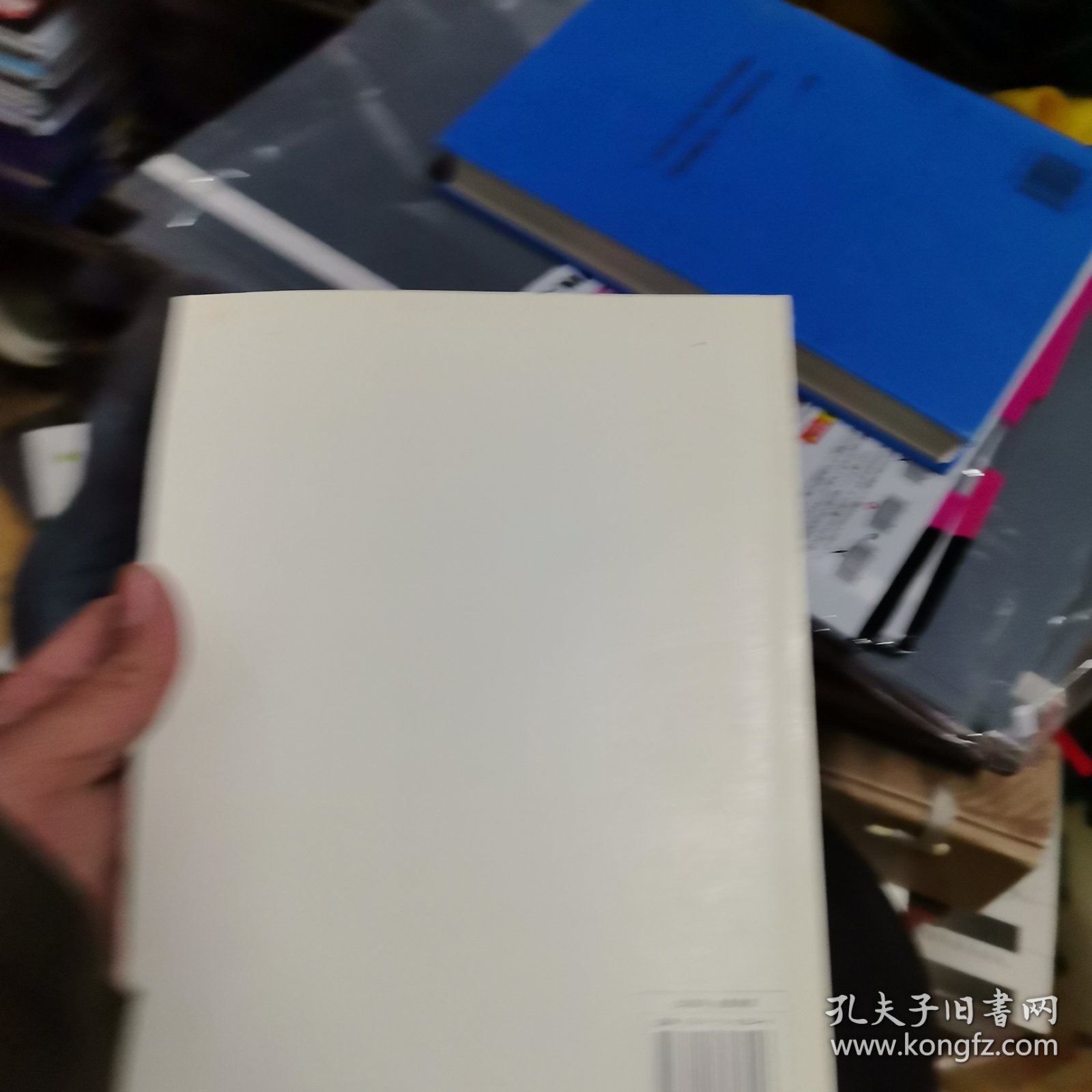 大熊市启示录：百年金融史中的超级恐慌与机会（原书第4版）