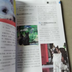 犬病防治1000问（前后封面缺失）