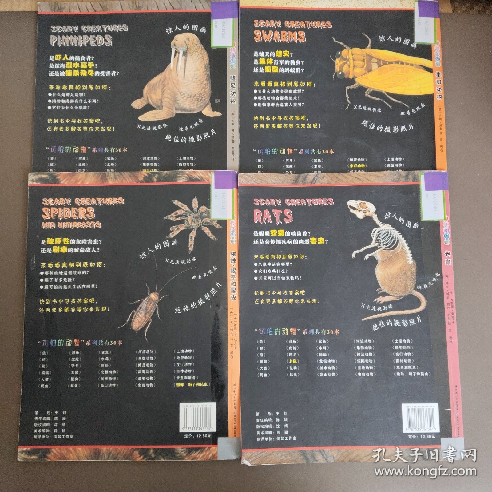 可怕的动物：蜘蛛蝎子和昆虫，老鼠，鳍足动物，集群动物（四本合售）